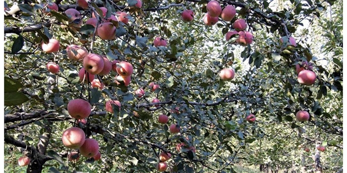 沃启产品成果展示